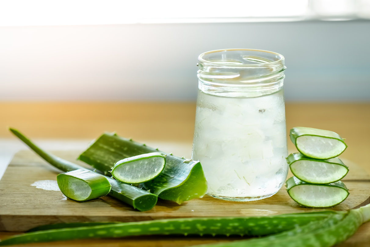 Aloe Veranın Eşsiz Faydaları ve Kullanımı