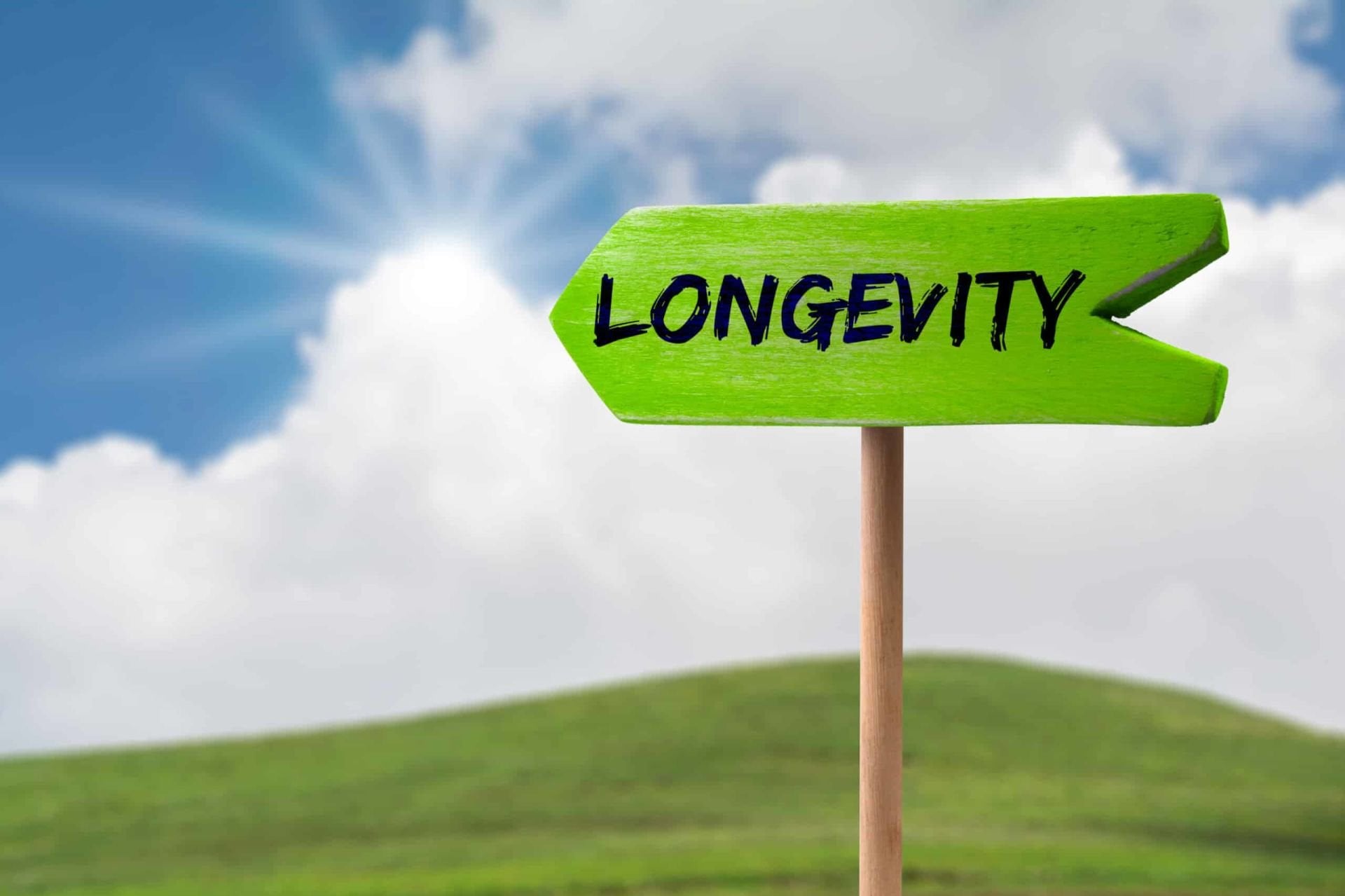 Longevity Eğitim Kitapçığı